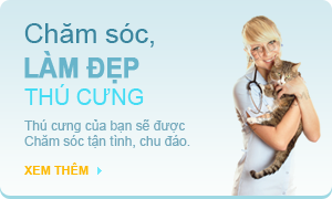 Chăm sóc và làm đẹp thú cưng