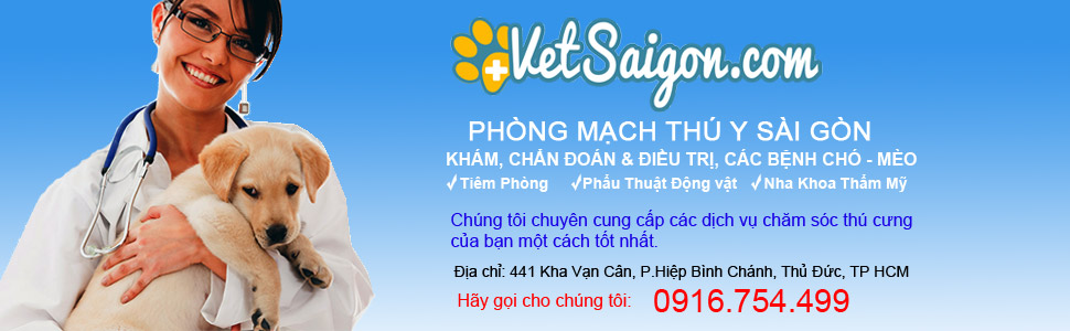 Thú Y Sài Gòn