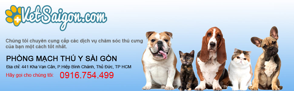 Thú Y Sài Gòn