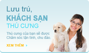 Lưu trú - Khách sạn thú cưng