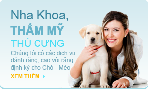 Nha Khoa Thẩm Mỹ
