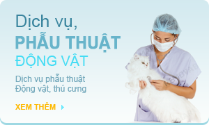 Phẫu Thuật Động Vật