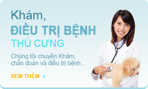 Khám và Điều trị bênh thú cưng